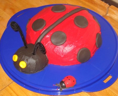 Ladybug / Ladybird